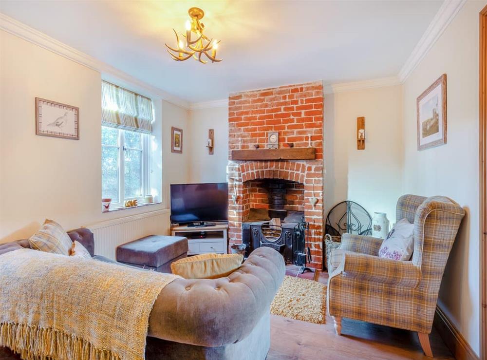 Living room at Rose Cottage in Baconsthorpe, Norfolk