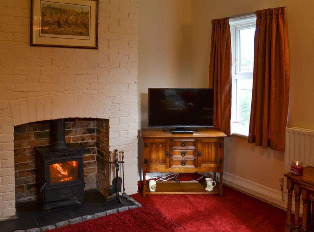 Living room with wood burner at Rose Cottage in Bratoft, near Burgh-le-Marsh, Lincolnshire