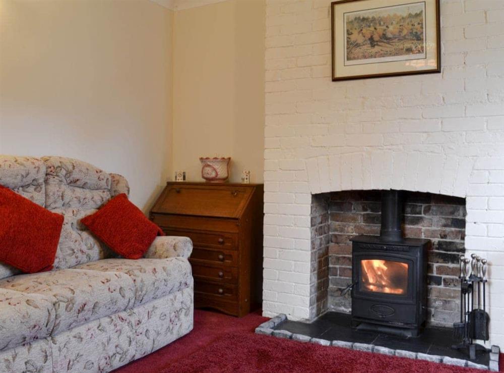 Living room with wood burning stove at Rose Cottage in Bratoft, near Burgh-le-Marsh, Lincolnshire