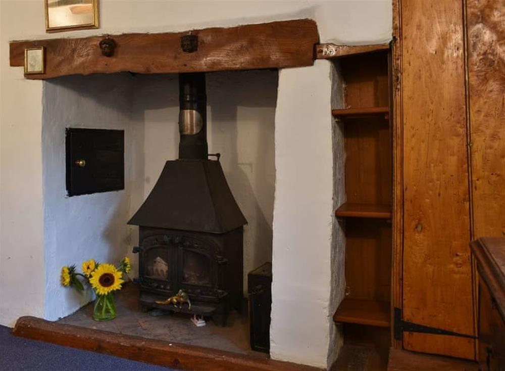 Wood burner at Rose Cottage in Bressingham, near Diss, Norfolk