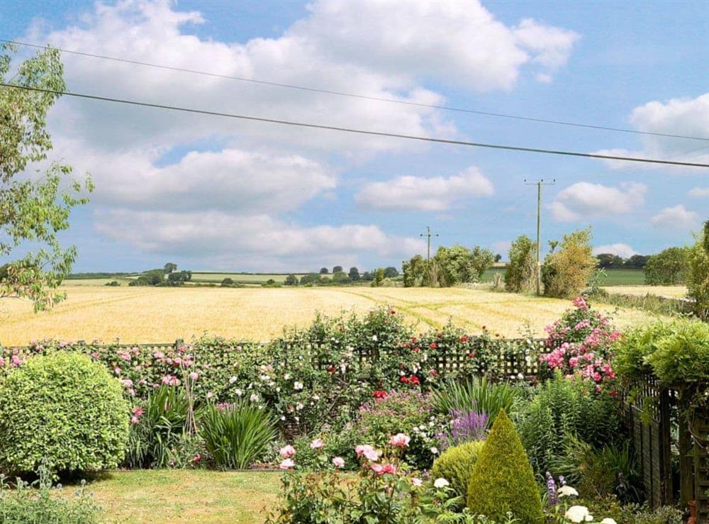 View at Rose Cottage in Cold Ashton, Wiltshire., Great Britain