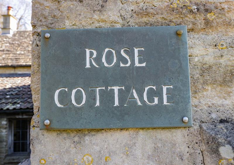 The garden at Rose Cottage, Corsham