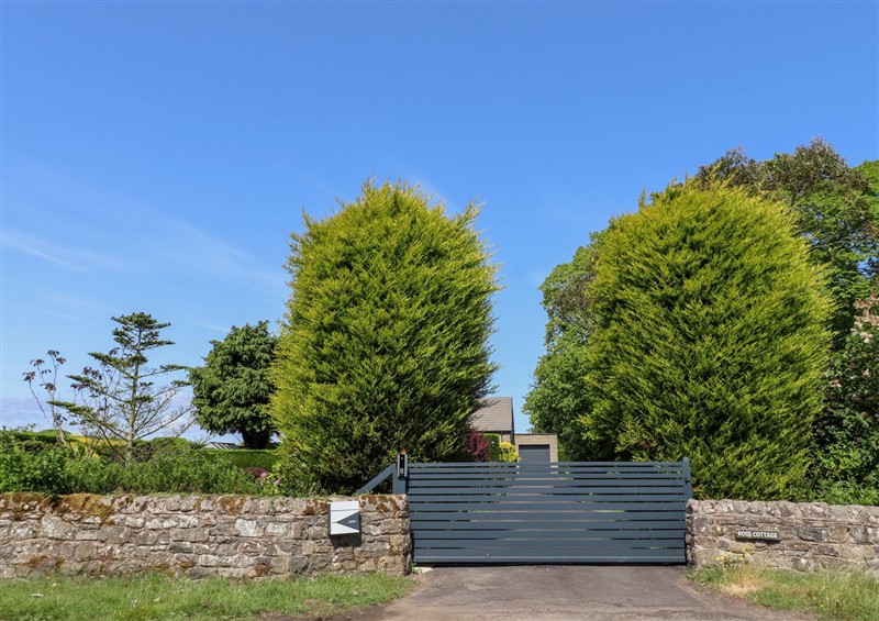 Enjoy the garden at Rose Cottage, Dunstan near Embleton
