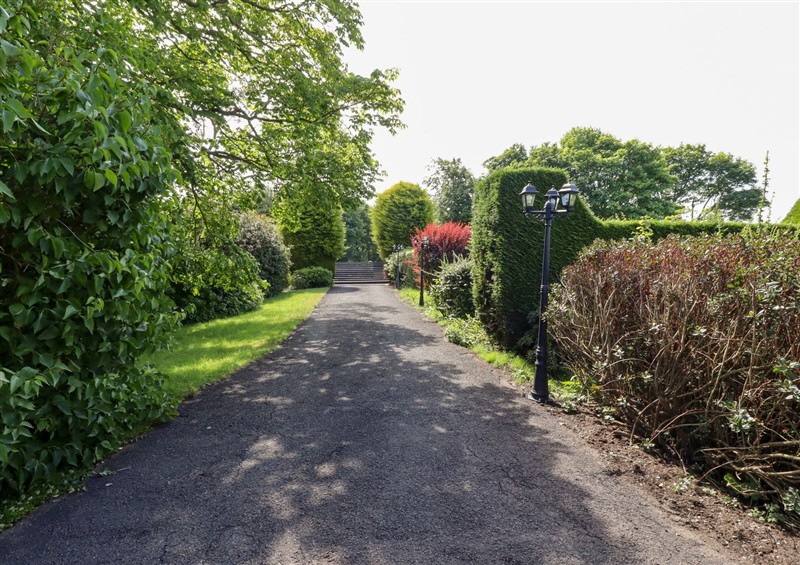 The garden at Rose Cottage, Dunstan near Embleton
