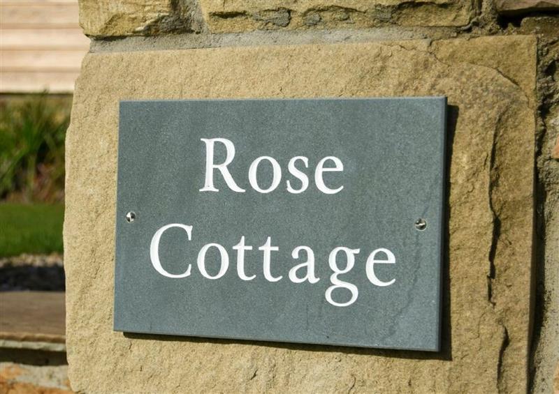 The garden at Rose Cottage, Elsdon