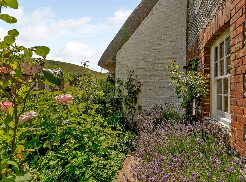 Wonderful surrounding area at Rose Cottage in Fulking, near Brighton, West Sussex