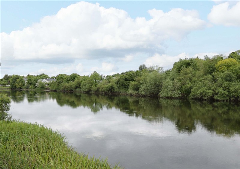 In the area at Rose Cottage, Killala