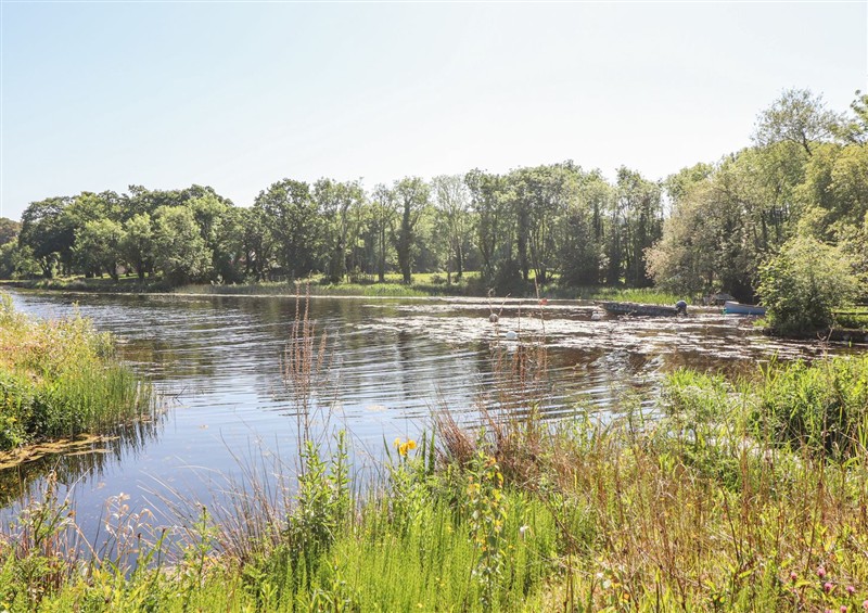 The area around Rose Cottage