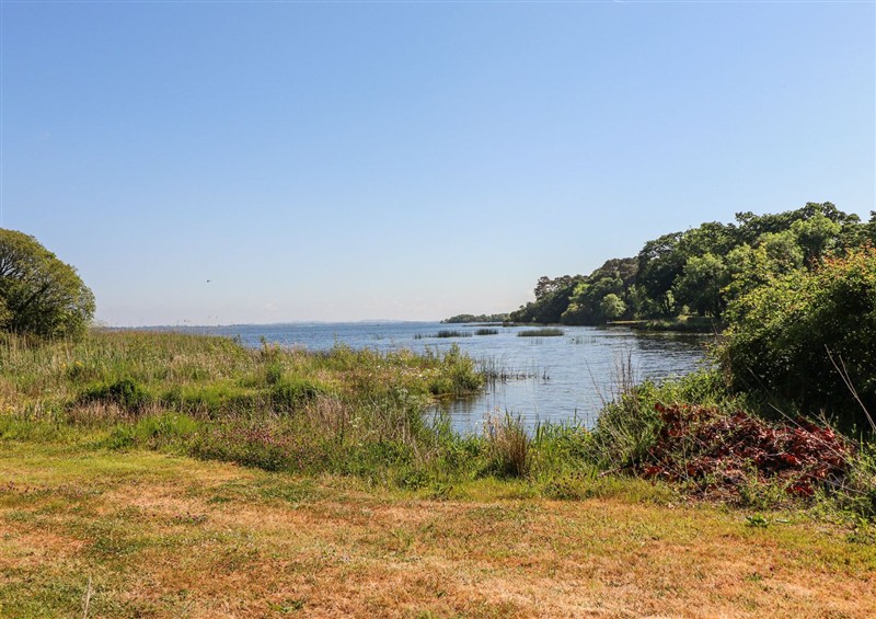 The area around Rose Cottage