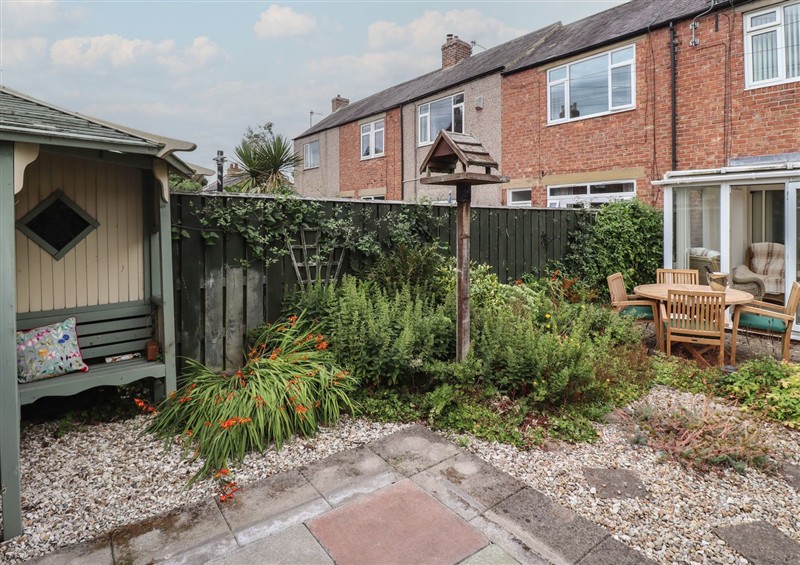 This is the garden at Rose Cottage, Morpeth