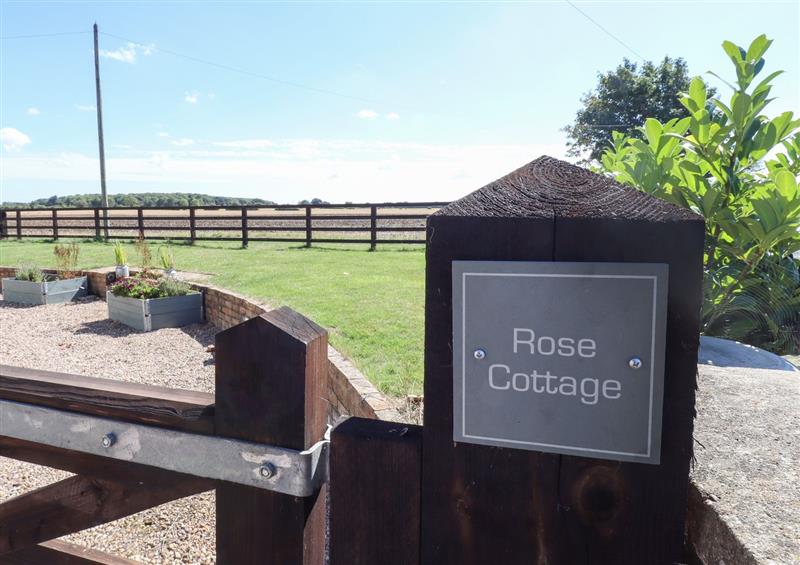 This is the garden at Rose Cottage, North Reston near Louth