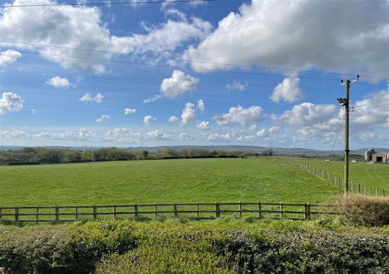 This is the garden at Rose Cottage, Omagh