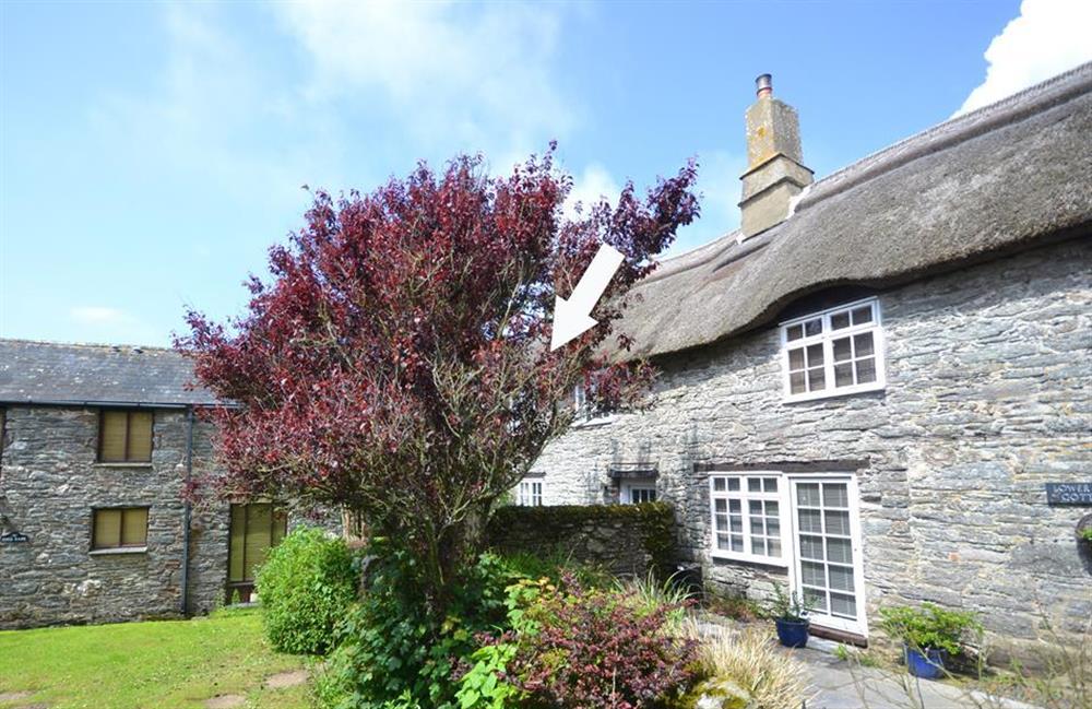 Photos of Rose Cottage, Salcombe
