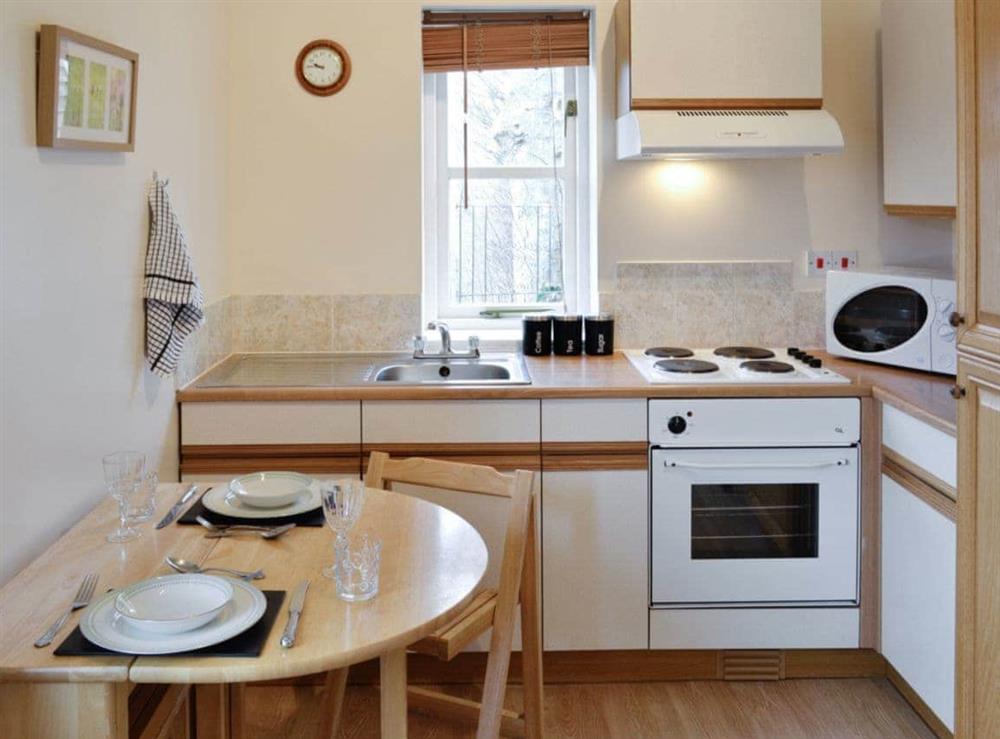 Open plan living/dining room/kitchen (photo 4) at Rose Cottage in Sturminster Newton, Dorset