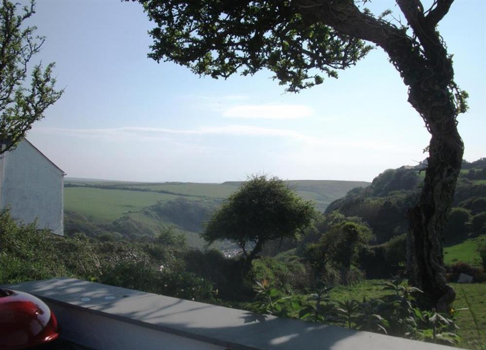 View from barbecue area at Rose Cottage in Tintagel