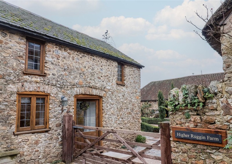 The setting of Rose Cottage at Rose Cottage, Wellington