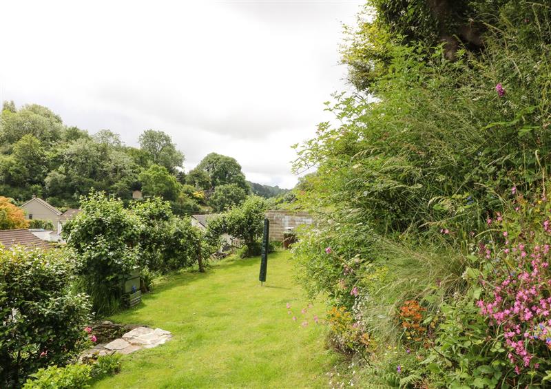 The area around Rose Cottage at Rose Cottage, Yelverton