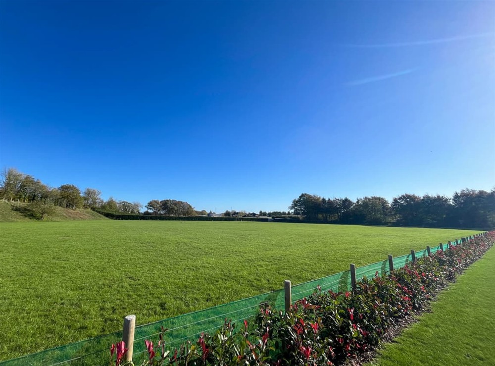 Outdoor (photo 3) at Rose in Ospringe, near Faversham, Kent