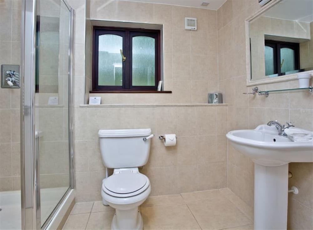 Bathroom (photo 2) at Rose in Woodland Retreat, Wadebridge