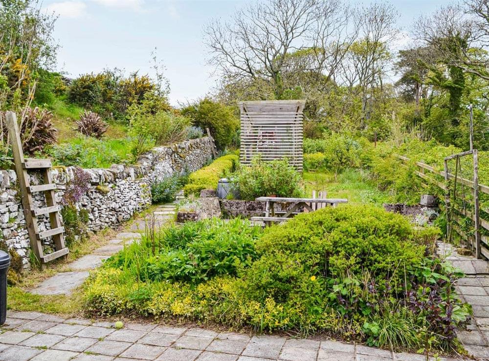 Garden at Rosebank Cottage in Borgue, near Kirkcudbright, Kirkcudbrightshire