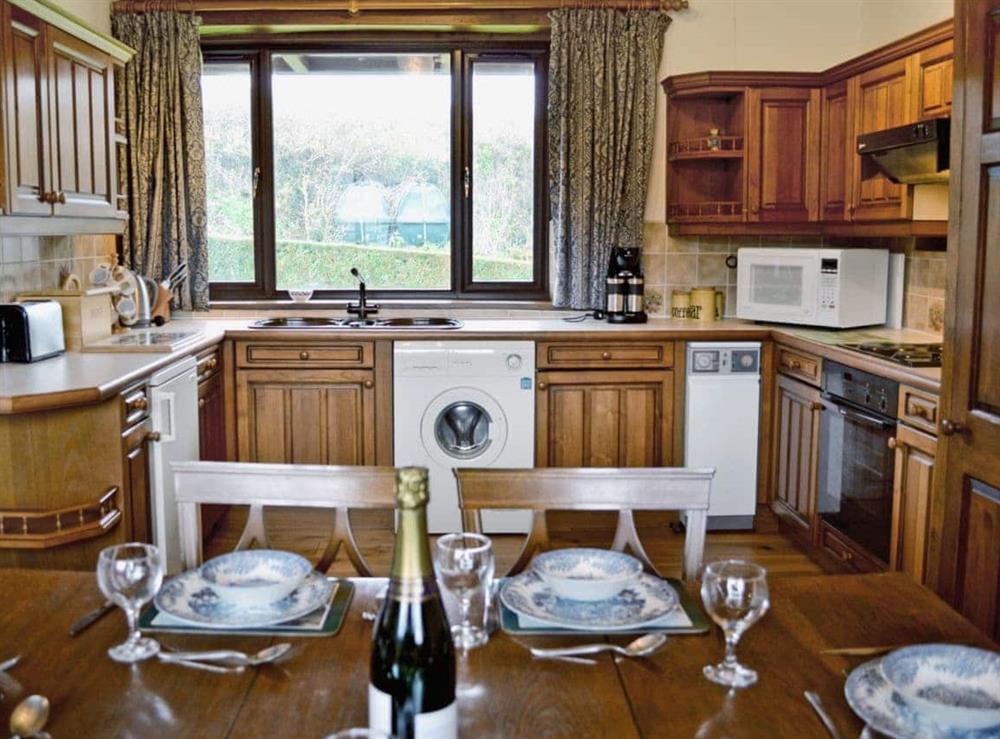 Kitchen at Rosebank Cottage in Stowford, Devon/Cornwall border, Great Britain