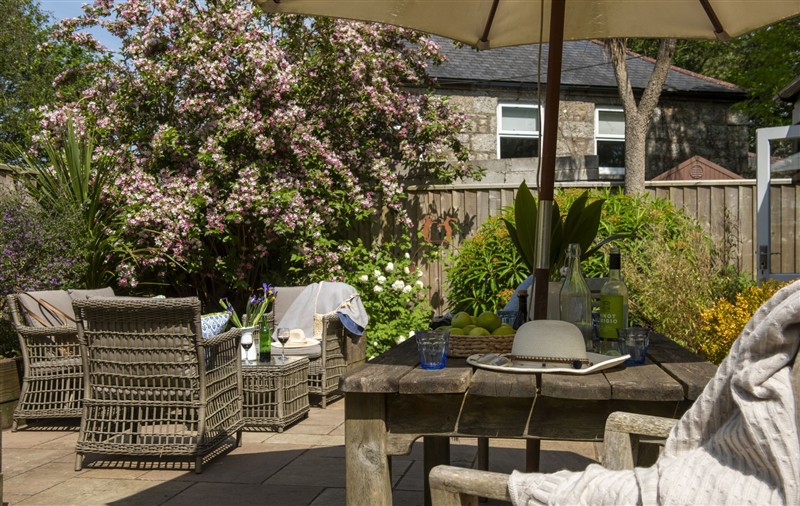 The garden in Rosehendra at Rosehendra, Cornwall