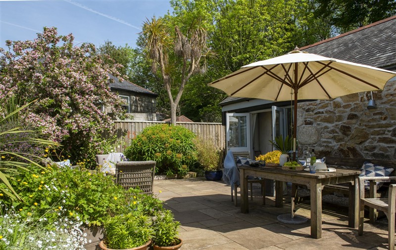 The garden at Rosehendra, Cornwall