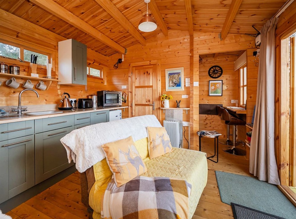 Open plan living space at Rosehill Cottage in Norwich, Norfolk