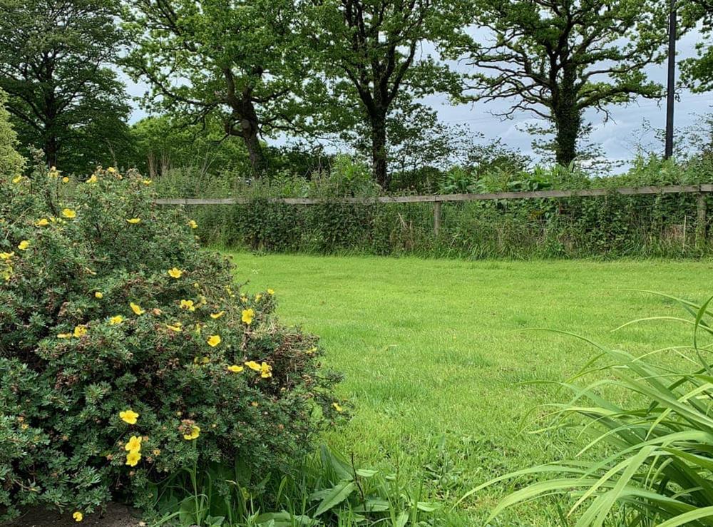 Garden (photo 3) at Rosemary Cottage in Highhampton, near Beaworthy, Devon
