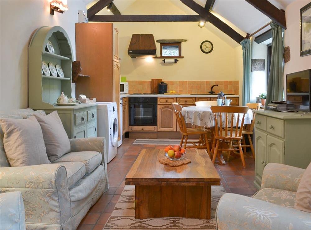 Comfortable living space at Rosewood Barn Cottage in St Neot, near Liskeard, Cornwall