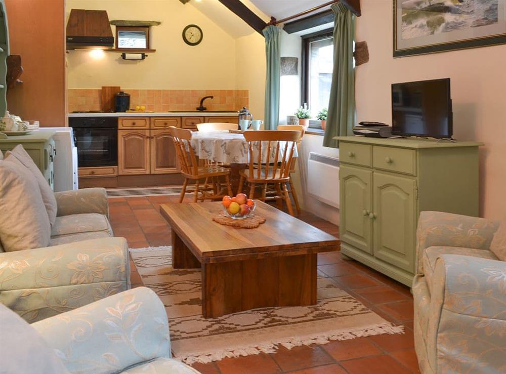 High-ceilinged open plan living area at Rosewood Barn Cottage in St Neot, near Liskeard, Cornwall