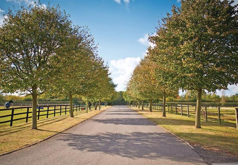 Park setting (photo number 4) at Rosewood Stud Park in , Cambridgeshire