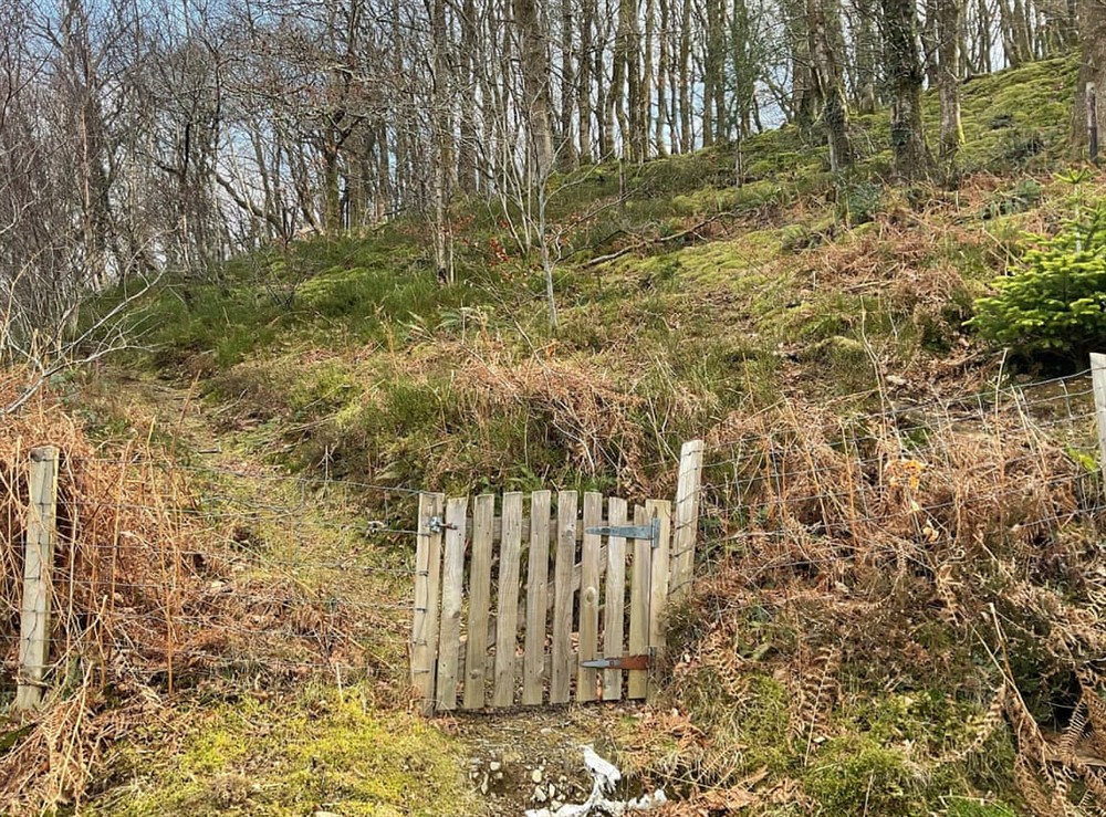 Exterior (photo 2) at Rosie in Llanybydder, near Llandovery, Dyfed