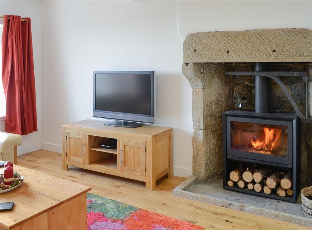 Cosy living room with wood burner (photo 2) at Rosies Cottage in Near Lochwinnoch, Renfrewshire