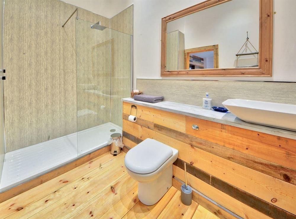 Impressive shower room with walk-in double shower at Madeline Angevine, 