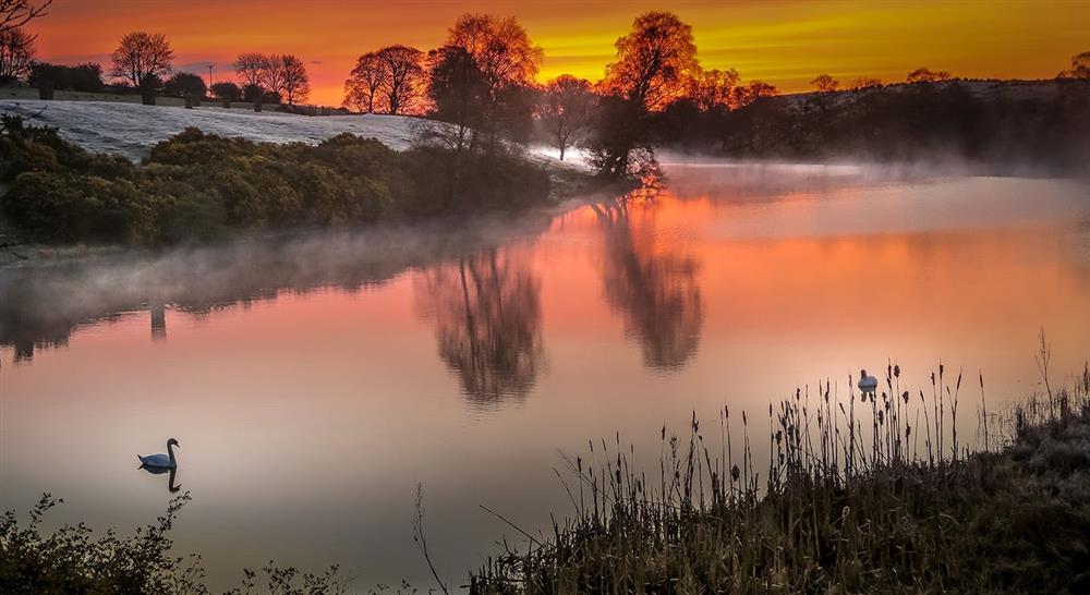 Rothley Lake, Northumberland