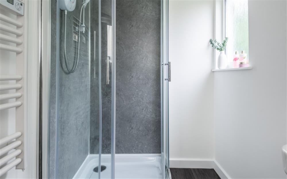 A shower cubicle and full-height heated towel rail at Round Field Annex in Mawnan Smith