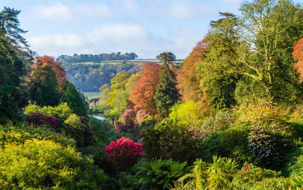 Walk through stunning Trebah Garden right down the private beach. It really is worth a visit! at Round Field Annex in Mawnan Smith
