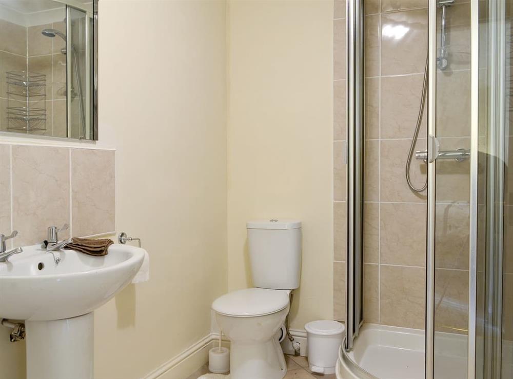 En-suite shower room at Cedar Lodge, 
