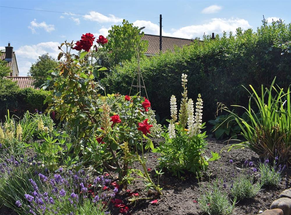 Lovely lush garden with attractive planting at Rowan Cottage in Aislaby, near Whitby, Yorkshire, North Yorkshire
