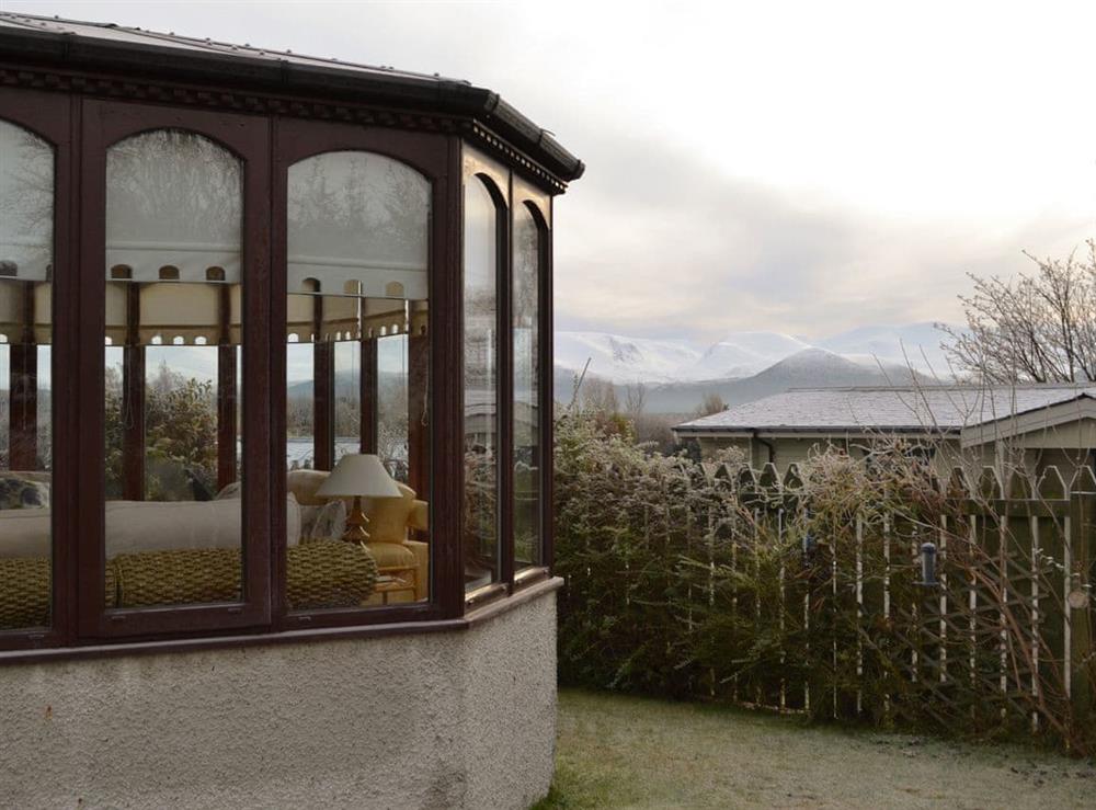 Rear garden area at Rowan Cottage in Aviemore, Inverness-Shire