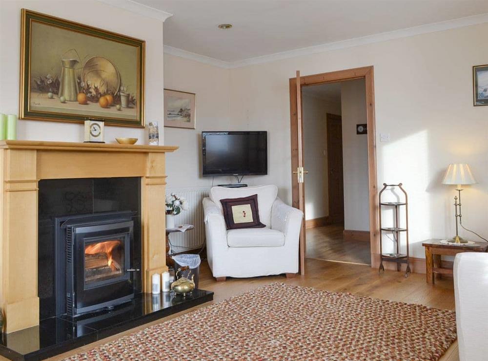 Stylish living area at Rowan Cottage in Aviemore, Inverness-Shire