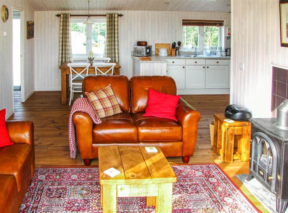 Open plan living space at Rowan Lodge in Mercia Marina, Willington, Norfolk