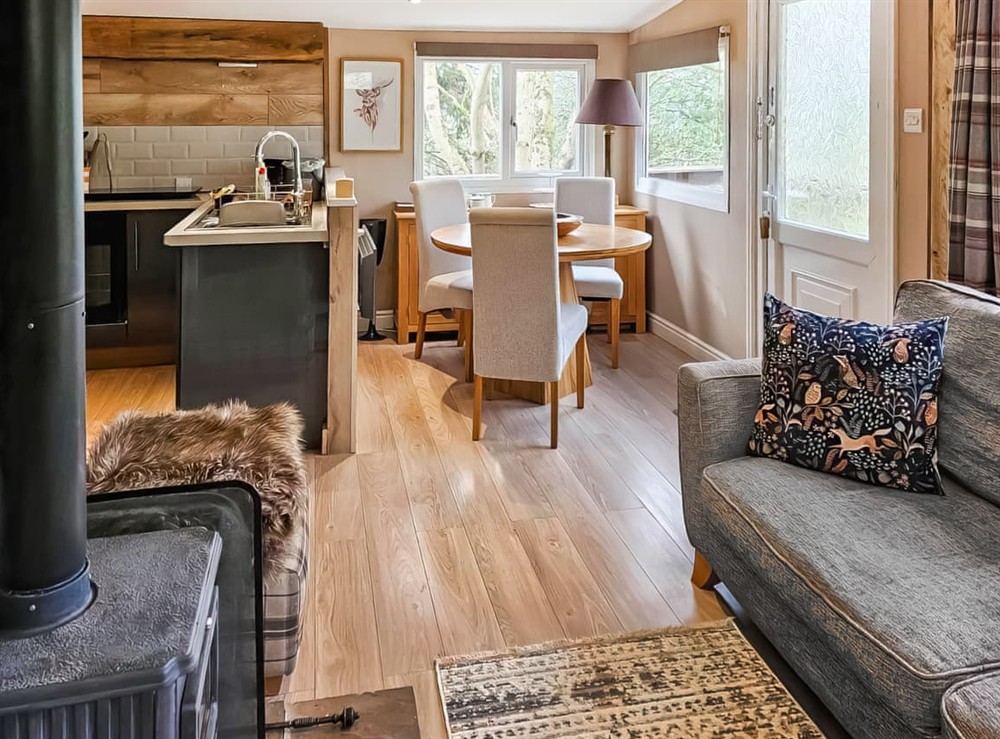 Open plan living space (photo 2) at Rowan Tree Lodge in Ludlow, Shropshire