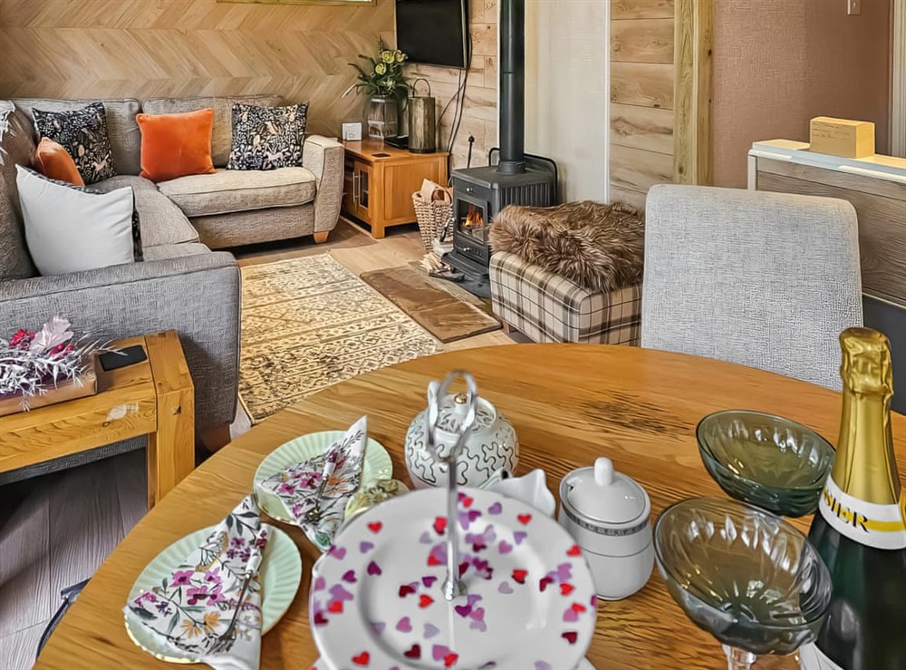 Open plan living space (photo 3) at Rowan Tree Lodge in Ludlow, Shropshire