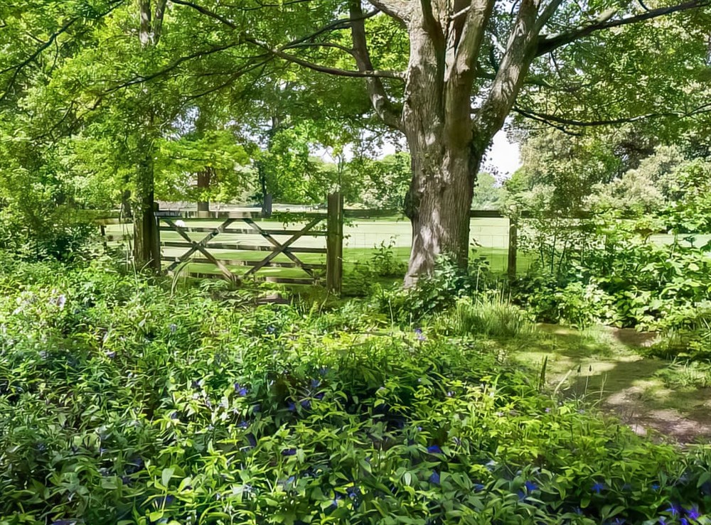 Surrounding area at Rowan Tree Lodge in Ludlow, Shropshire