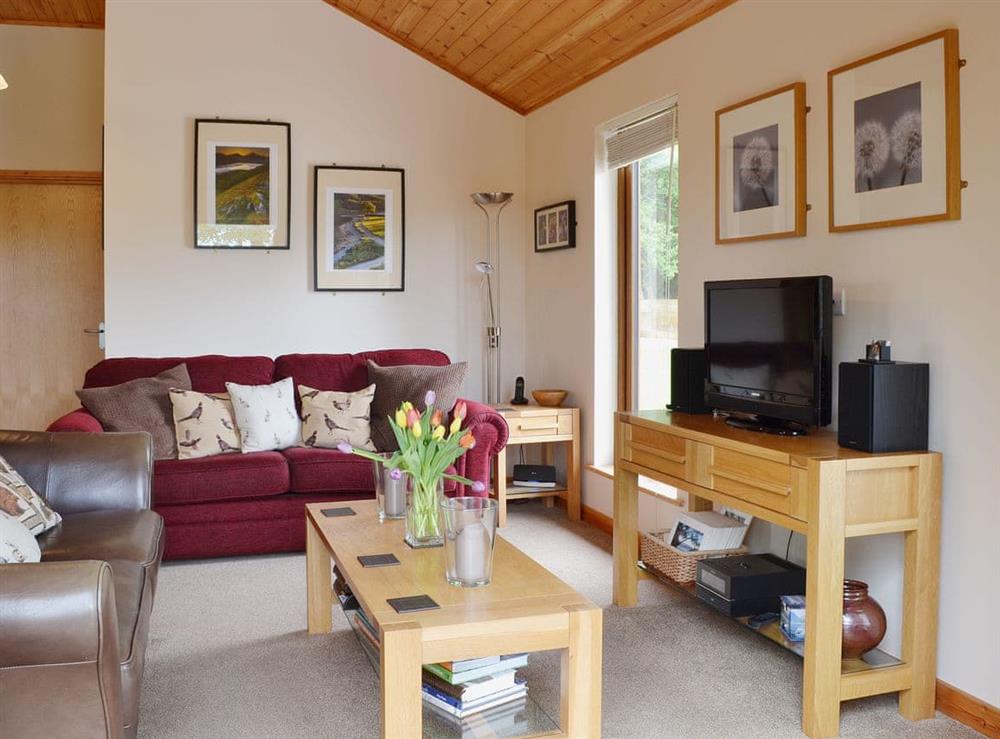 Comfortable leather sofas in the open plan living area at Rowanburn Lodge in Greystoke, near Penrith, Cumbria
