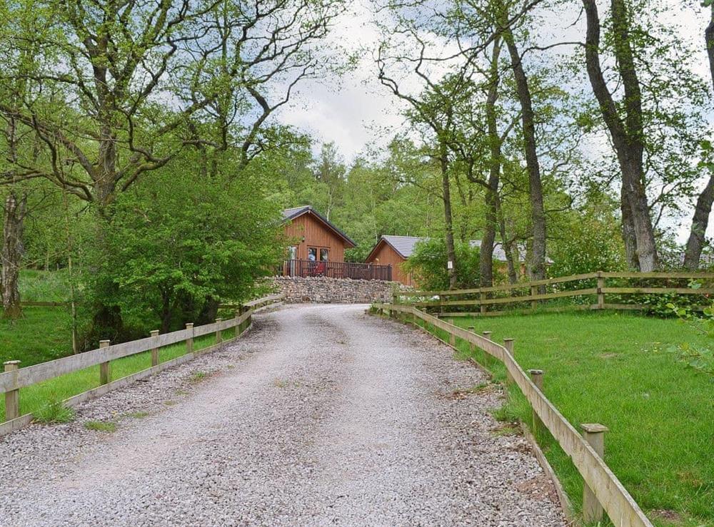 The cabin is secluided and accessed via a winding track through the woods at Rowanburn Lodge in Greystoke, near Penrith, Cumbria