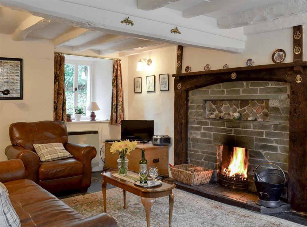 Warm and cosy living room at Rowlandson Ground Cottage in Coniston, Cumbria