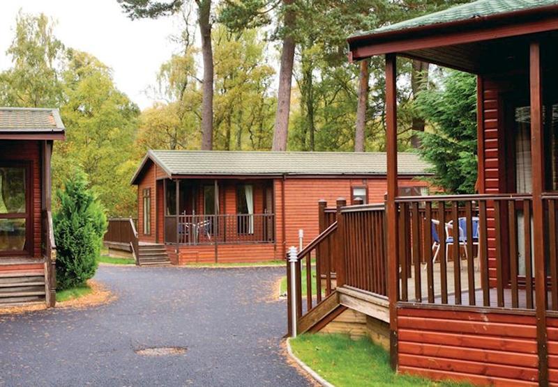 The lodges at Royal Deeside Woodland Lodges in Dinnet, Near Loch Kinord